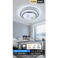 吸頂燈百合花圖案